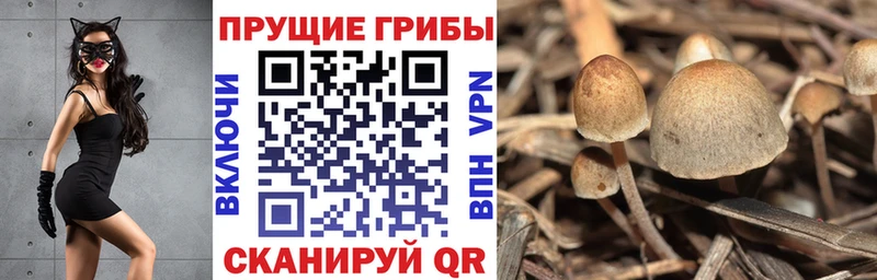 Галлюциногенные грибы Cubensis  Чердынь 